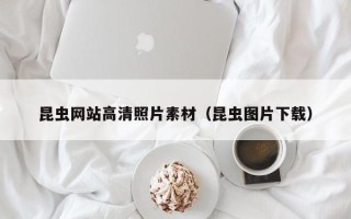 蓬莱昆虫网站高清照片素材（昆虫图片下载）